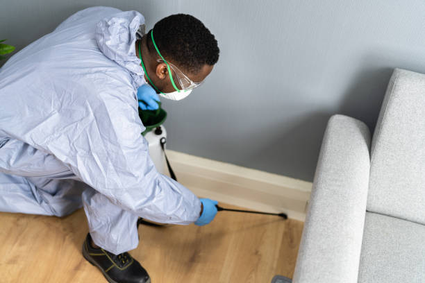 Best Bed Bug Extermination  in Red Hill, PA